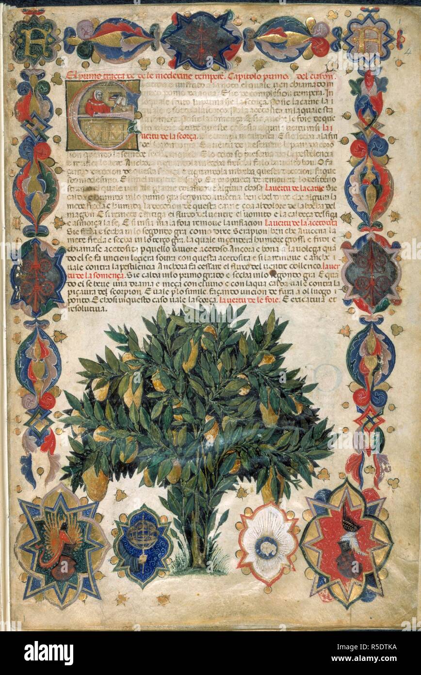 La page de texte avec des frontières. De fines herbes de Carrare. Italie (Padoue), circa 1400. (Folio) page de texte entier avec les frontières d'ornement contenant un arbre portant des fruits et les bras de Carrare et en haut, la lettre 'F', probablement l'article de Francesco Carrara, seigneur de Padoue, qui est mort en 1406. Image réalisée à partir de plantes de Carrare. Publié à l'origine/produit en Italie (Padoue), circa 1400. . Source : Egerton 2020, f.4. Langue : Italien la traduction de l'Arabe. Banque D'Images
