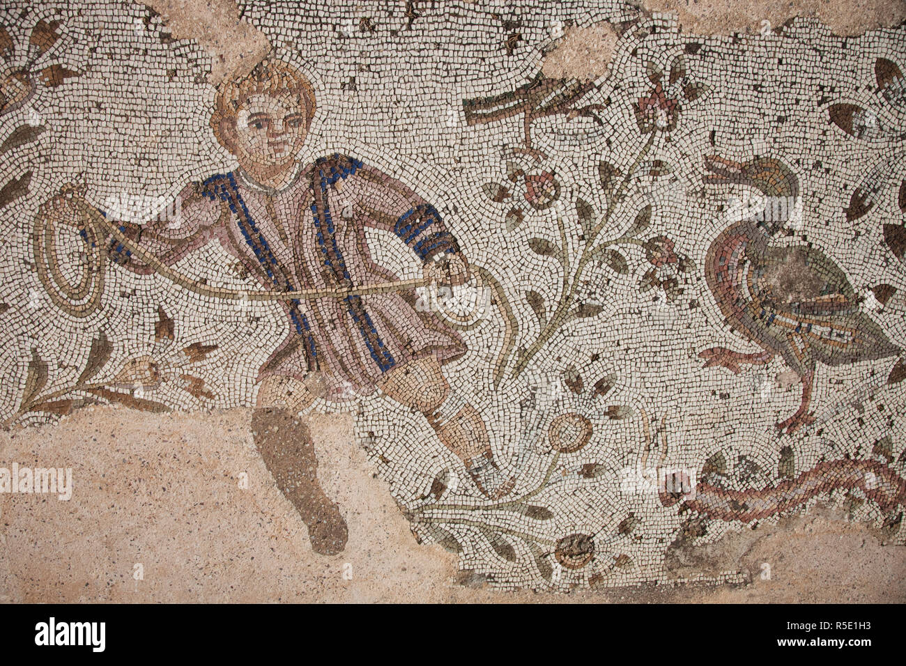 Tunisie, Tunis, Carthage, de l'ère romaine mosaiques Villa Banque D'Images