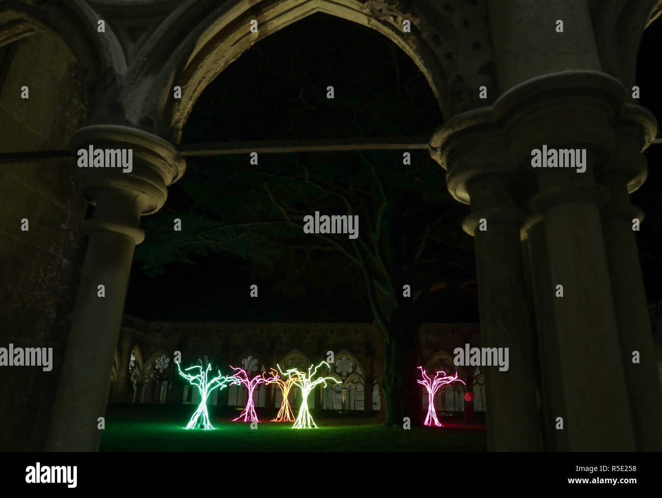 Cinq arbre comme des structures qui composent la pièce d'art "Lumen", s'asseoir dans le cloître garth, lors du lancement de la cathédrale de Salisbury est allumé avènement d'installations artistiques, le droit de l'obscurité à la lumière. Banque D'Images