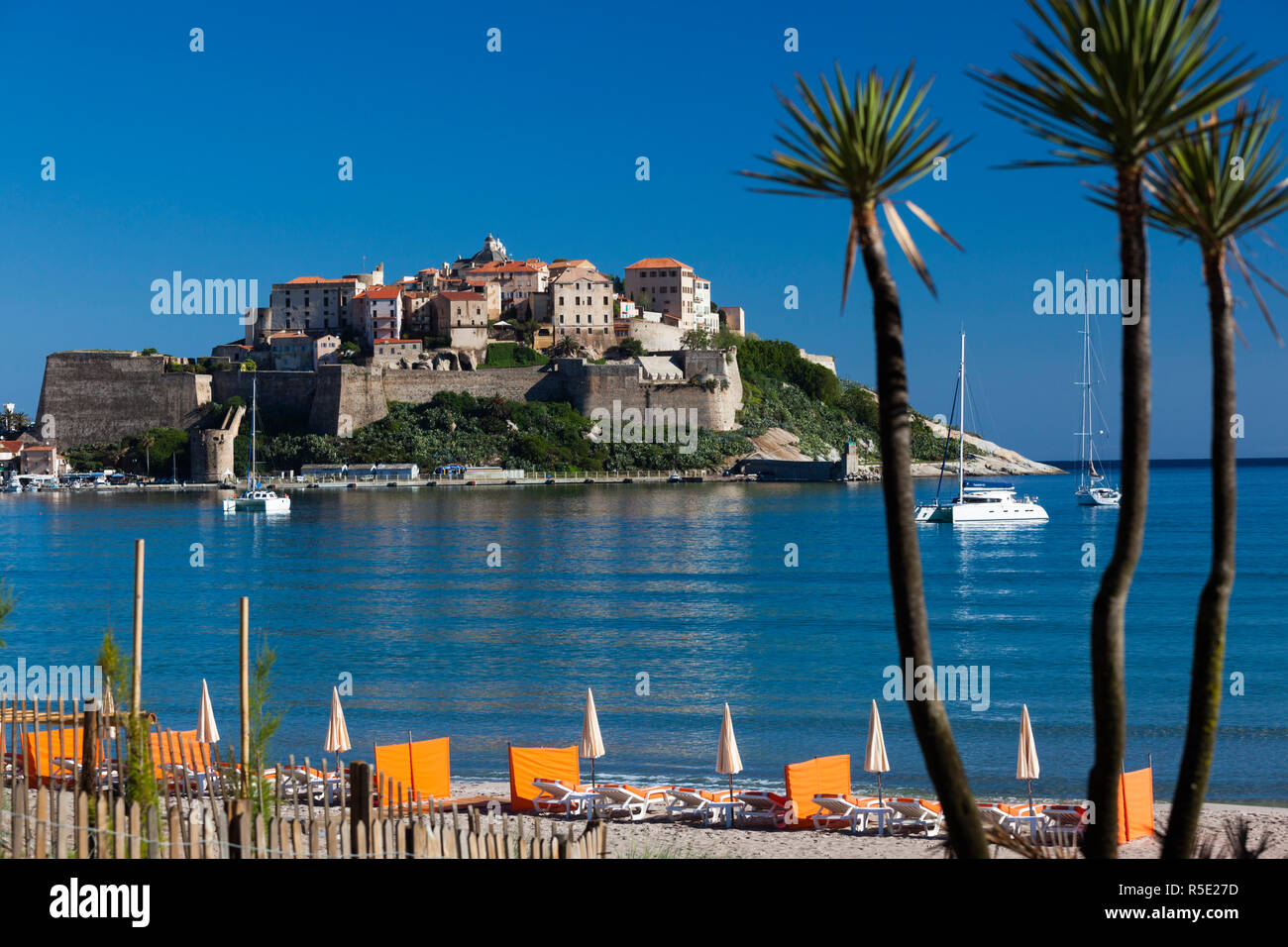 France, Corse, Haute-Corse Ministère, La Balagne, Calvi, Port de plaissance Yacht Harbour, avec vue sur la Citadelle depuis le Golfe de Calvi golfe Banque D'Images