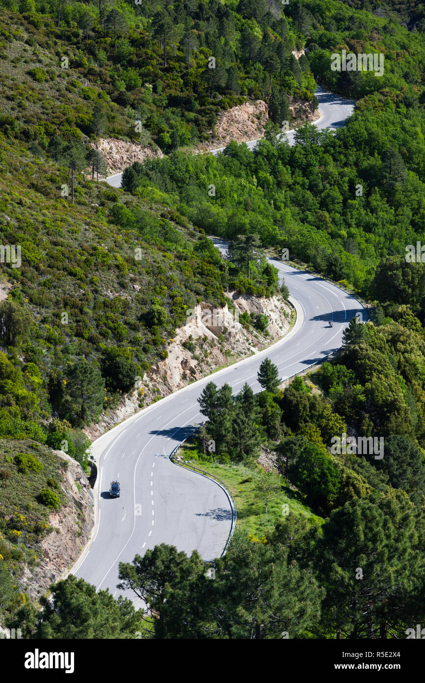 France, Corse, Haute-Corse département, région des montagnes centrales, Vivario, portrait en forme de S de route, l'autoroute N 193 Banque D'Images