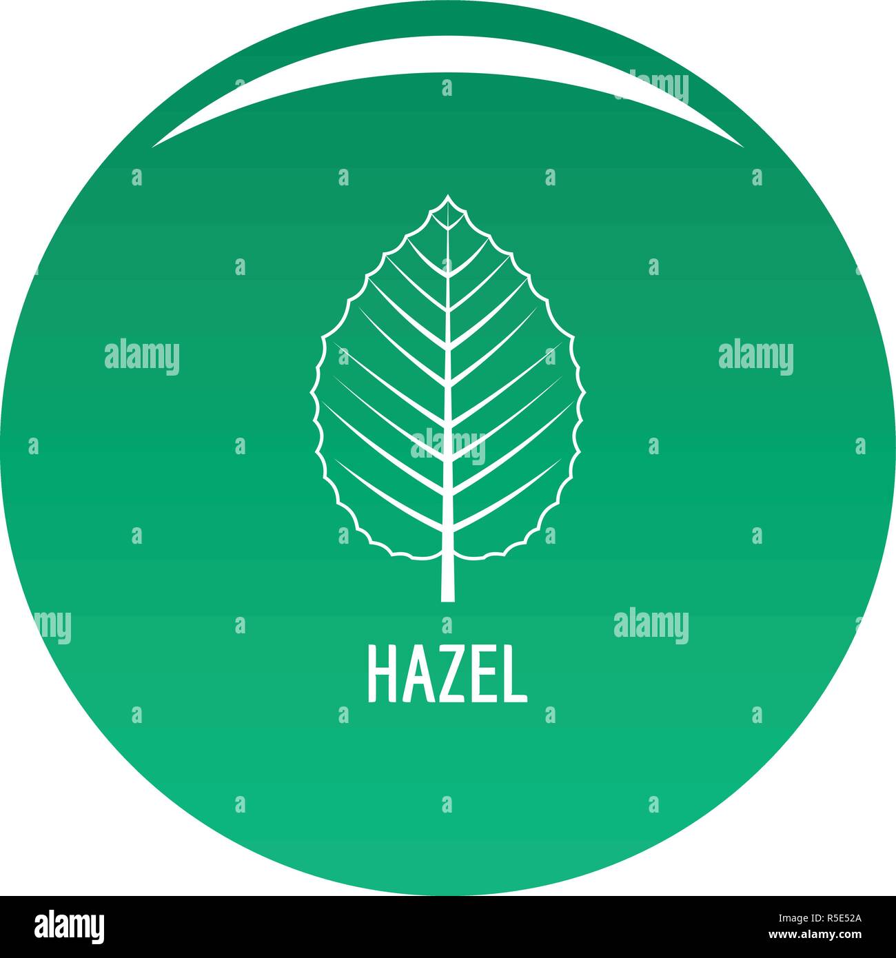 Feuille d'Hazel icône. Simple illustration de hazel leaf vector icône pour toute conception green Illustration de Vecteur