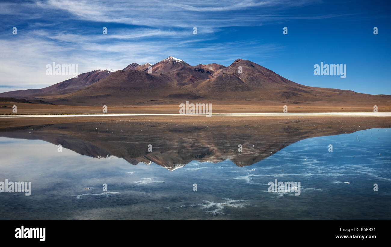 Laguna Cañapa dans le département de Potosi Bolivie Banque D'Images