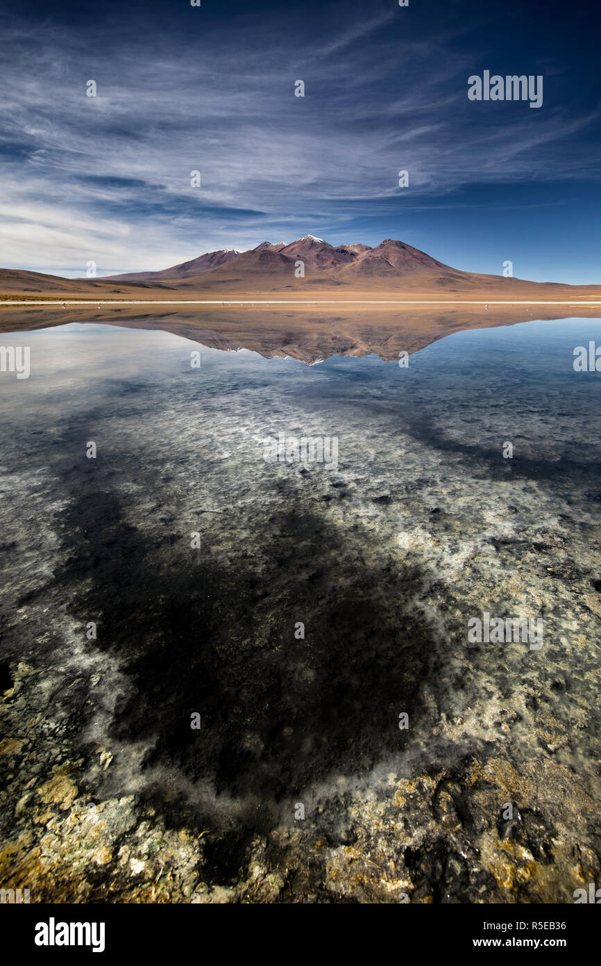 Laguna Cañapa dans le département de Potosi Bolivie Banque D'Images
