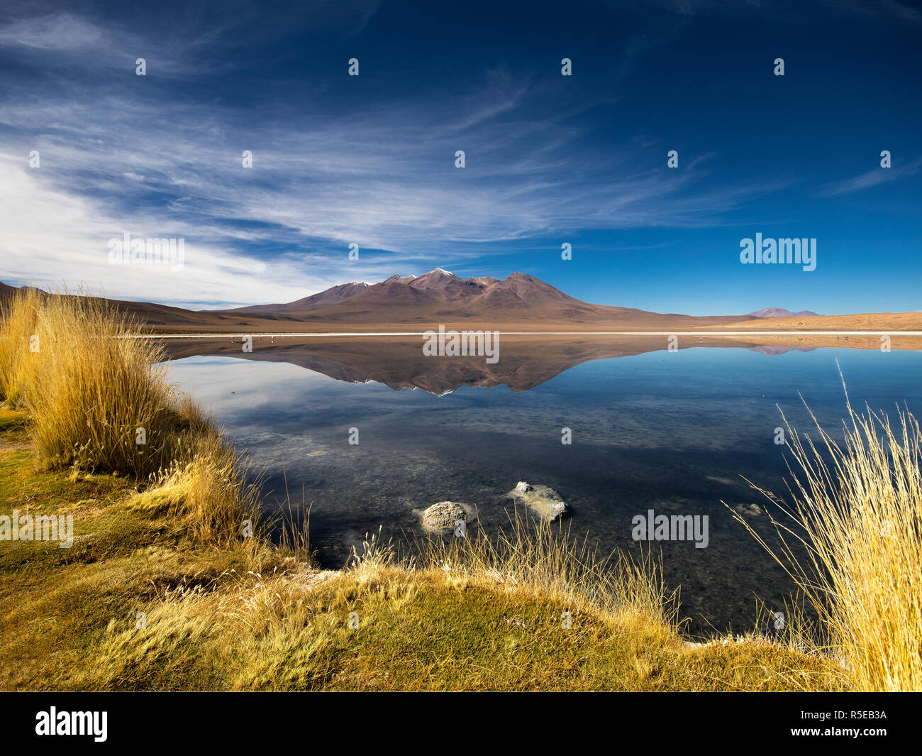 Laguna Cañapa dans le département de Potosi Bolivie Banque D'Images