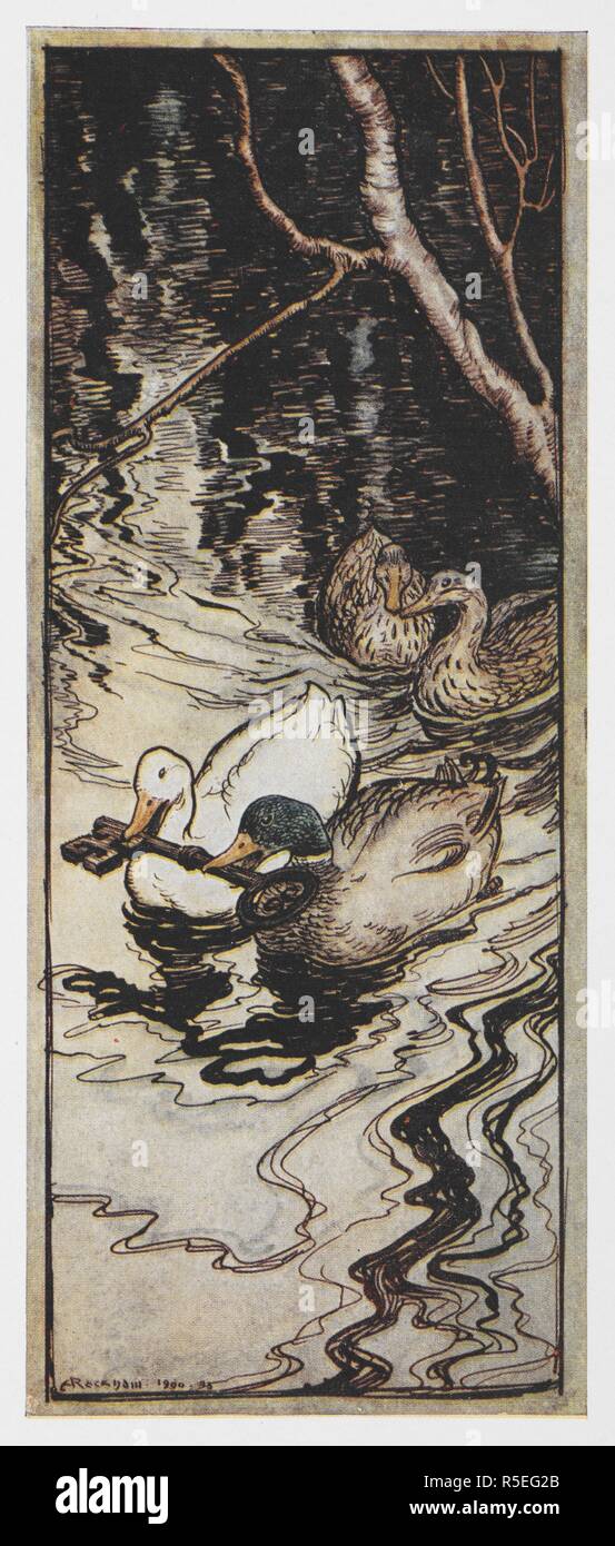 Illustration de deux canards portant une clé à partir de la reine des abeilles. Contes de Grimm. Illustré par Arthur Rackham. Londres : William Heinemann, [1925]. 'Les canards qu'il avait une fois enregistrée, en plongée, et mis la clé des profondeurs.". Source : 12410.r.7. page 208. Auteur : RACKHAM, Arthur. GEBRUEDER GRIMM. Banque D'Images