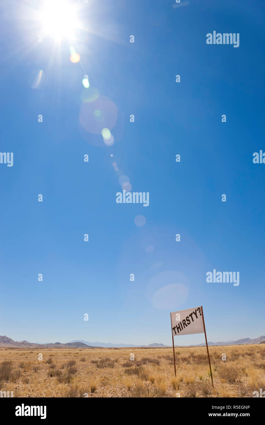 "Soif" dans le désert de Namib, Namibie Banque D'Images