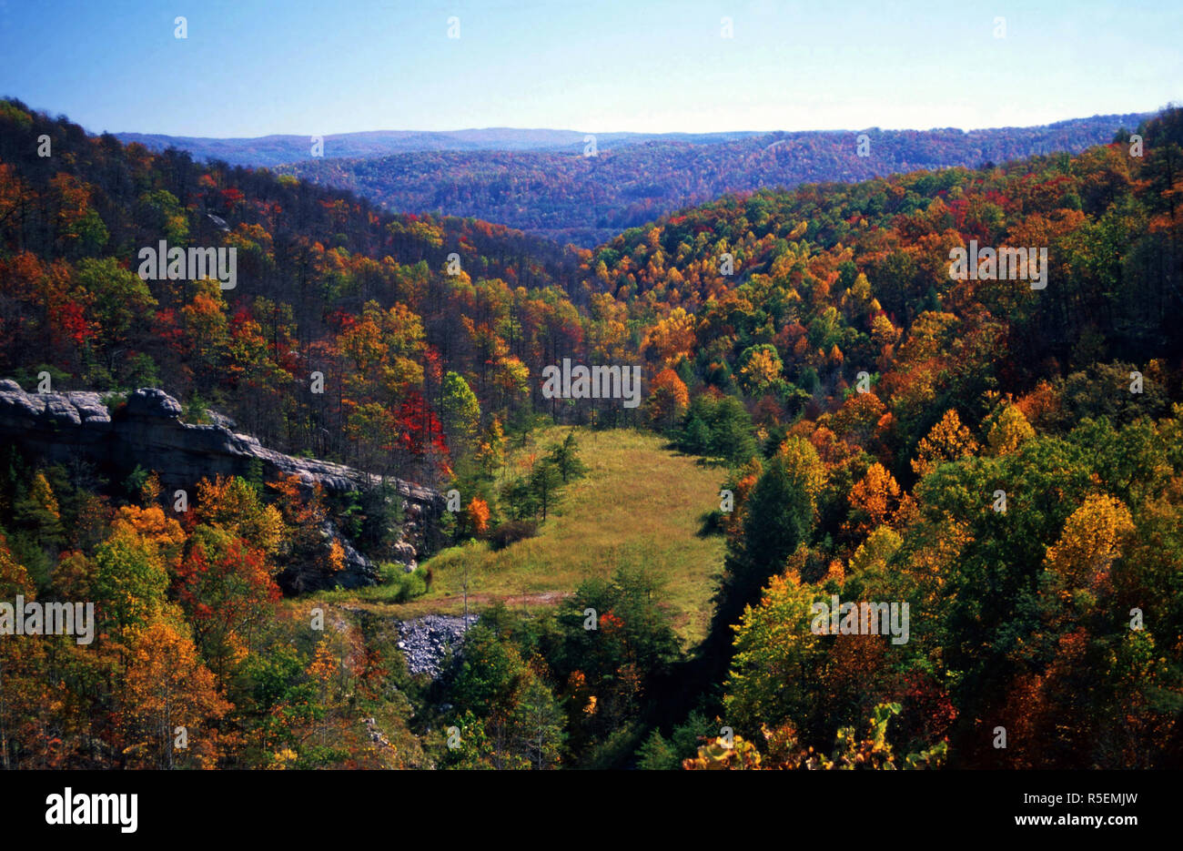 La couleur de l'automne au Tennessee Banque D'Images