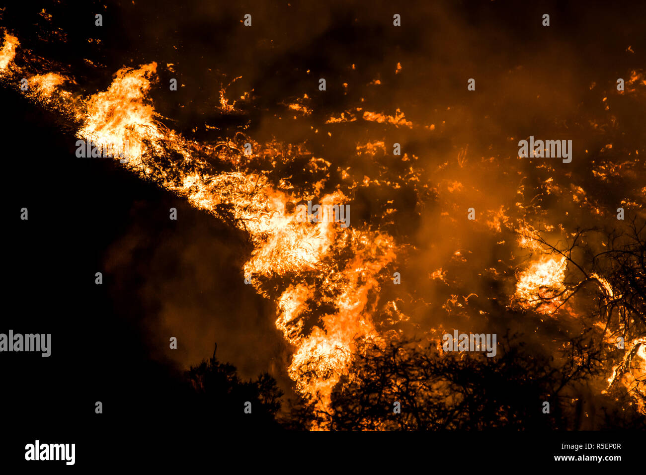 Une traînée de flammes brûler dans la nuit avec un pinceau à flanc de formes et couleur dramatique in California's Woolsey Fire Banque D'Images