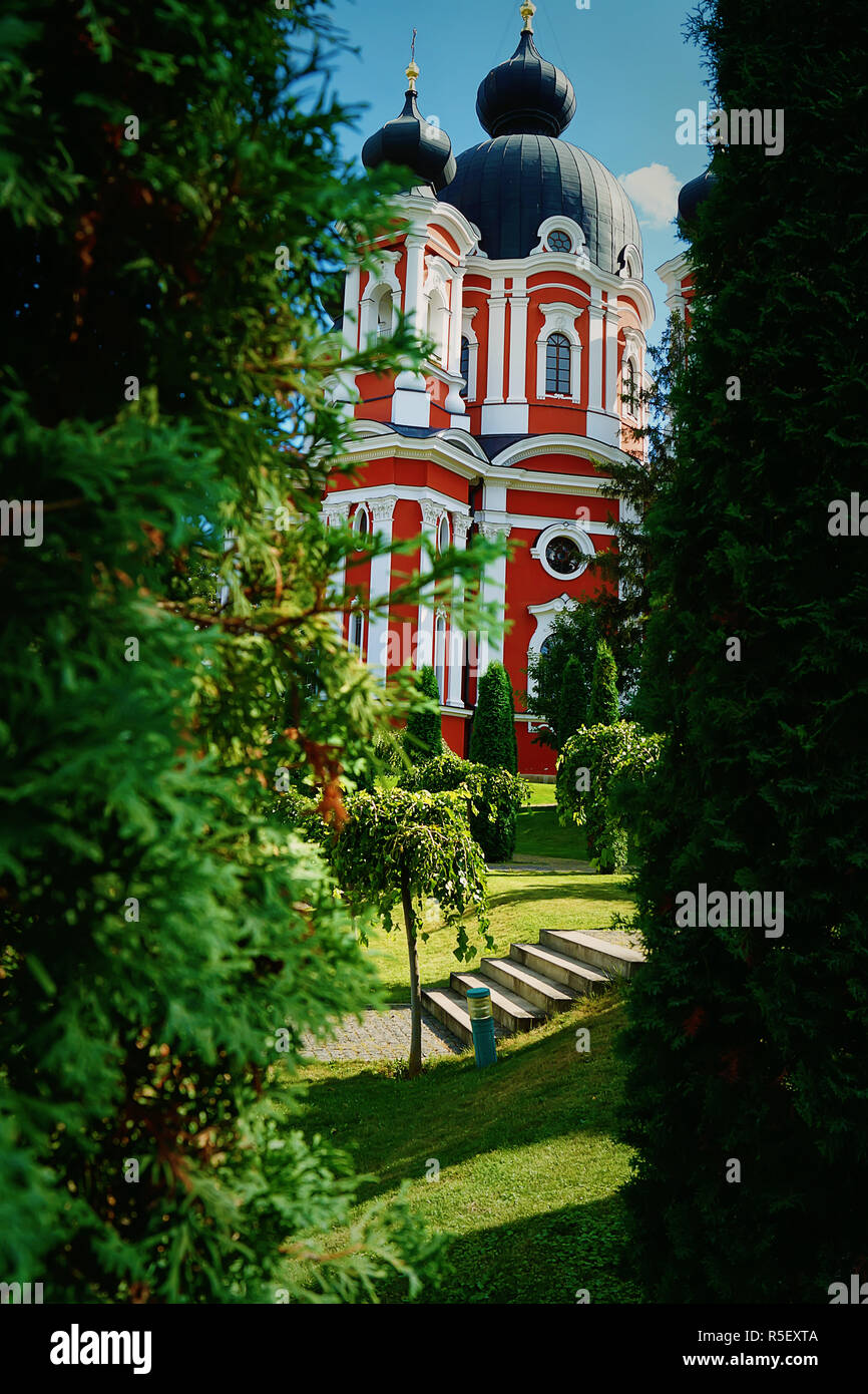 jardin Banque D'Images