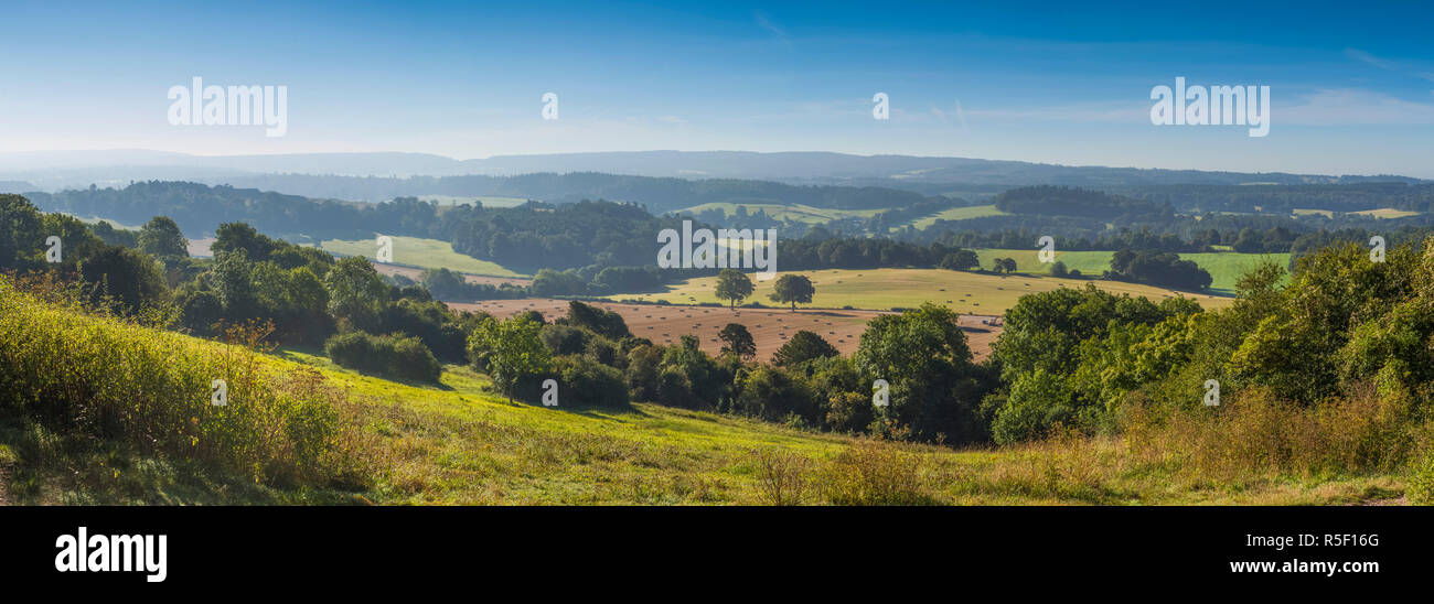 Des North Downs, Surrey, England, UK Banque D'Images