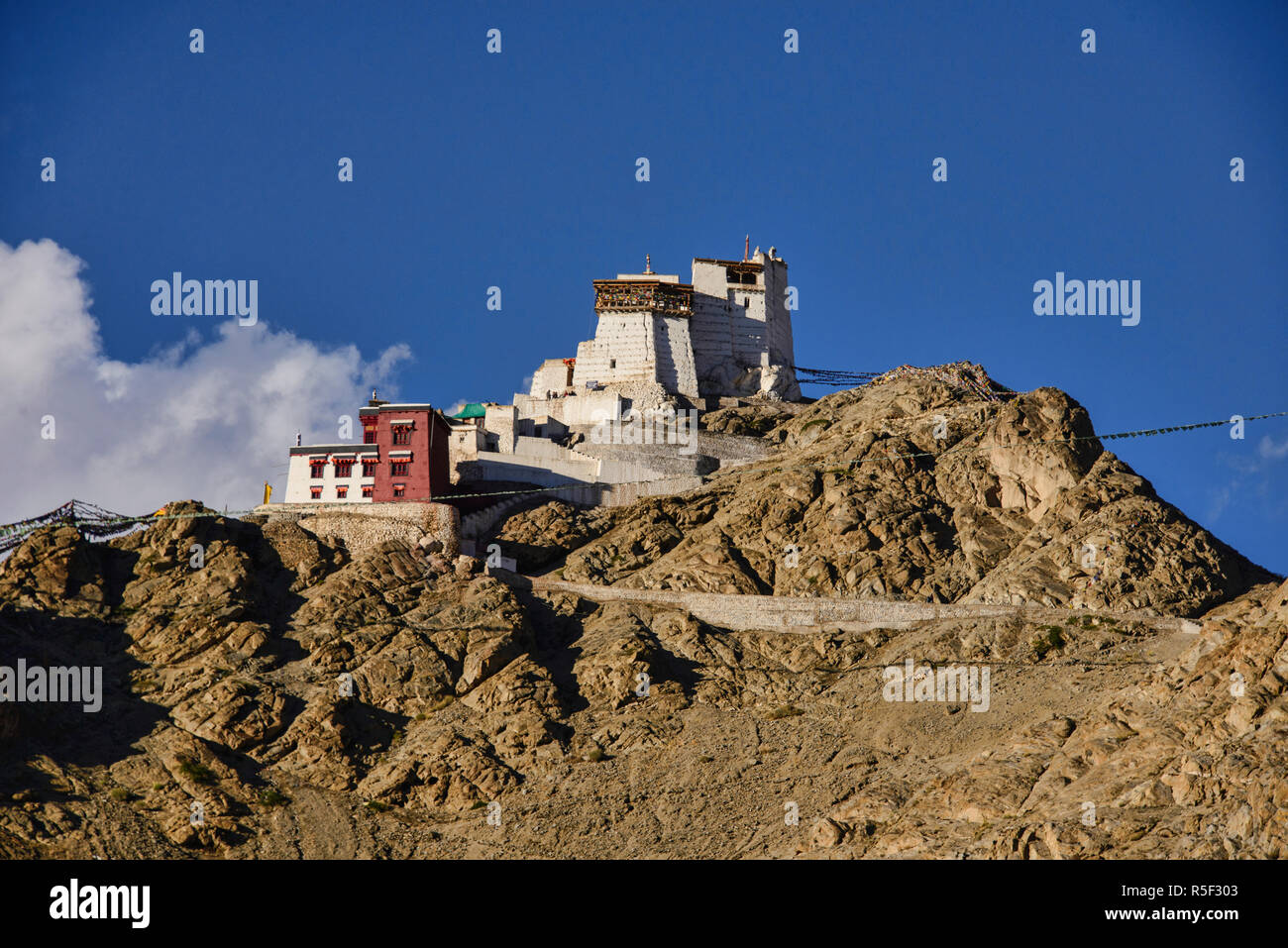 Monastère de Namgyal Tsemo belle lumière, Leh, Ladakh, Inde Banque D'Images