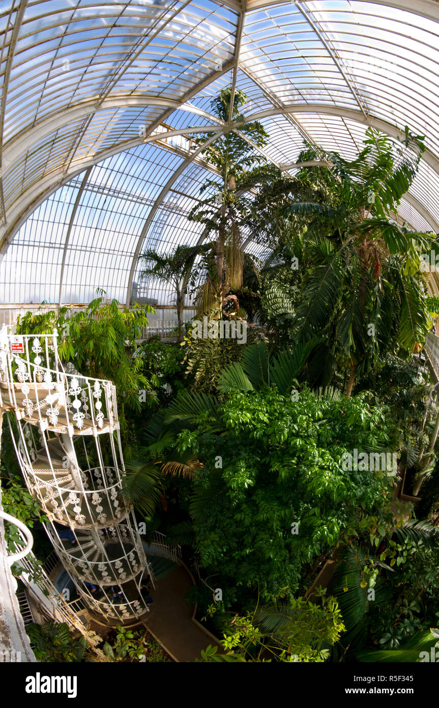 UK, Londres, Richmond, Royal Botanic Gardens Kew Banque D'Images