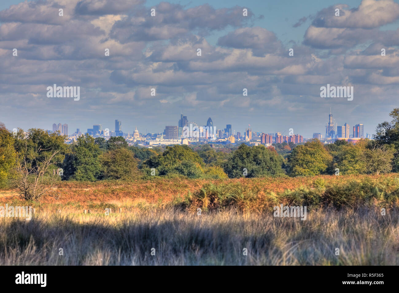 Le centre ville de Londres de Richmond Park, Londres, Angleterre Banque D'Images