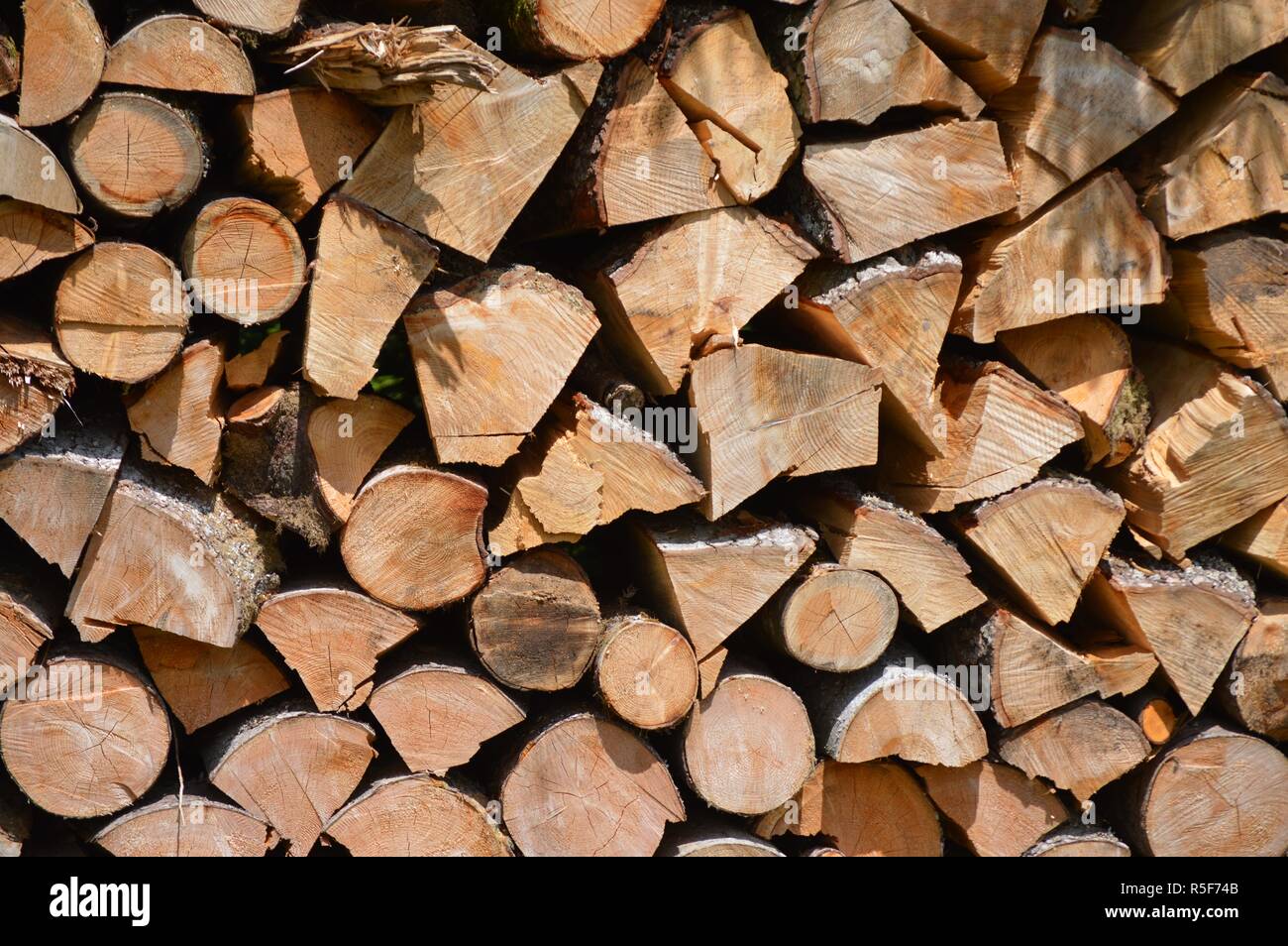 Un tas de bois à la lisière de la forêt Banque D'Images