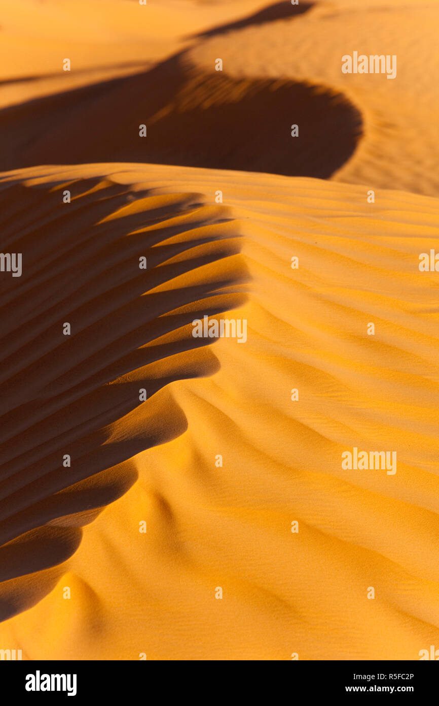 La Tunisie, Ksour, Ksar Ghilane, Grand Erg Oriental, ses dunes de sable du désert Banque D'Images