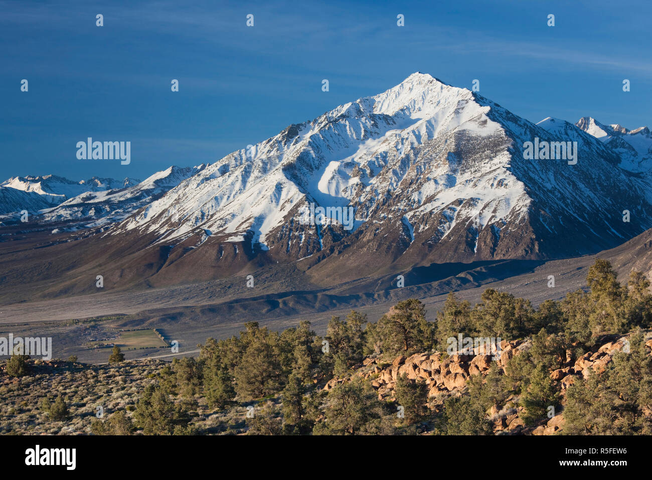 États-unis, Californie, l'Est de la Sierra Nevada, Alta Vista, la Sierra Nevada, vue sur Mt. Tom, d'une altitude de 13 652 pieds Banque D'Images