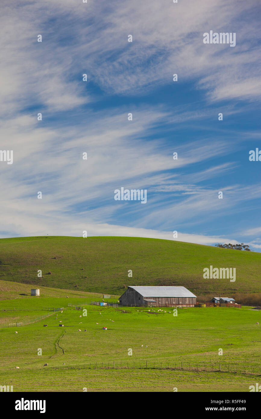 États-unis, Californie, Californie du Nord, Côte Nord, Valley Ford, paysage Banque D'Images