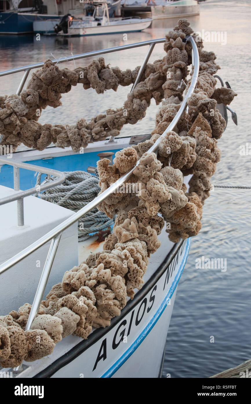 USA, Floride, Tarpon Springs, ville de pêcheurs d'éponge grecs, éponges naturelles sur la mousse-bateau de plongée Banque D'Images