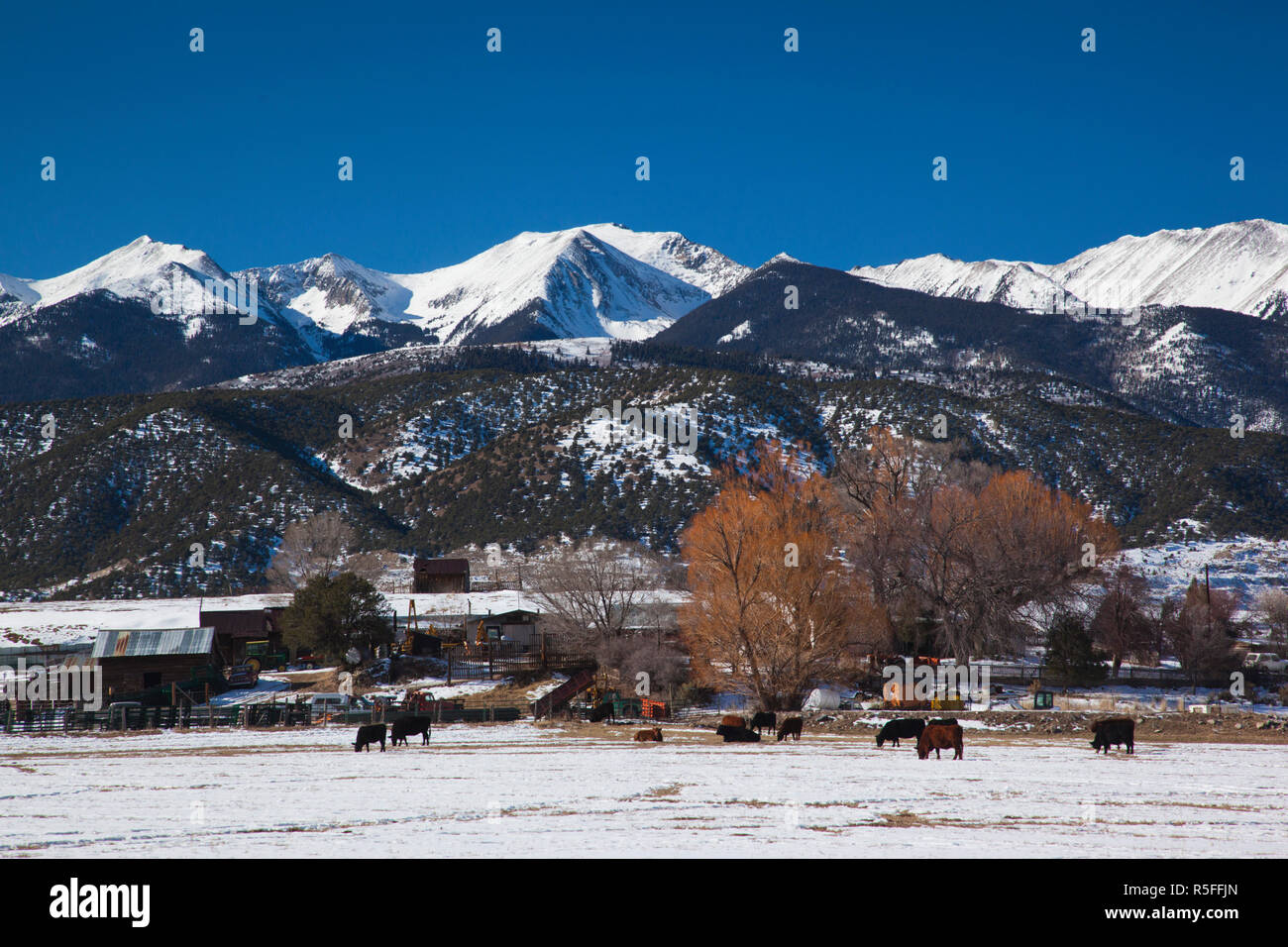 USA, Colorado, Coaldale, ranch et montagnes Sangre de Cristo, hiver Banque D'Images