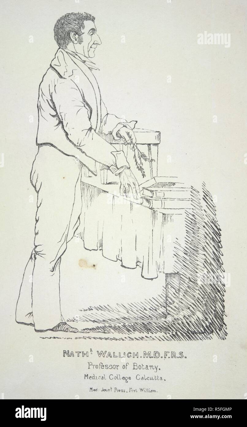 Nathaniel Wallich, MD. FRS. Publié par le journal médical, Calcutta,. Calcutta, années 1840. Nathaniel Wallich, MD. FRS. (1786-1854). Botaniste danois. Professeur de botanique, le collège médical, Calcutta. Lithographie. L'école britannique. Portrait. Image prise à partir de la publication par le journal médical, Calcutta, c1840's. Portrait par Colesworthy Subvention du croquis lithographiques des personnages publics de Calcutta Calcutta, 1838-1850. Publié à l'origine/produit en Calcutta, années 1840. . Source : P2635,. Banque D'Images