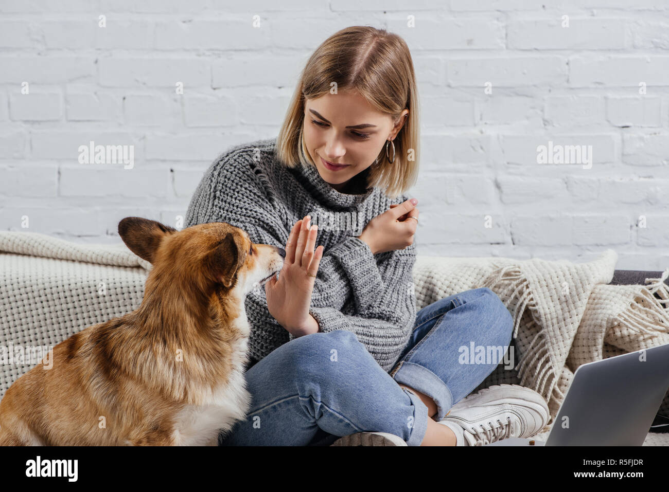 Jolie jeune femme mignon commandant Pembroke Welsh Corgi pour s'asseoir Banque D'Images