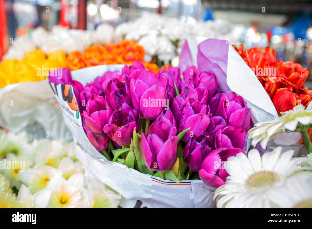 Fleur de tulipe sur Market Banque D'Images