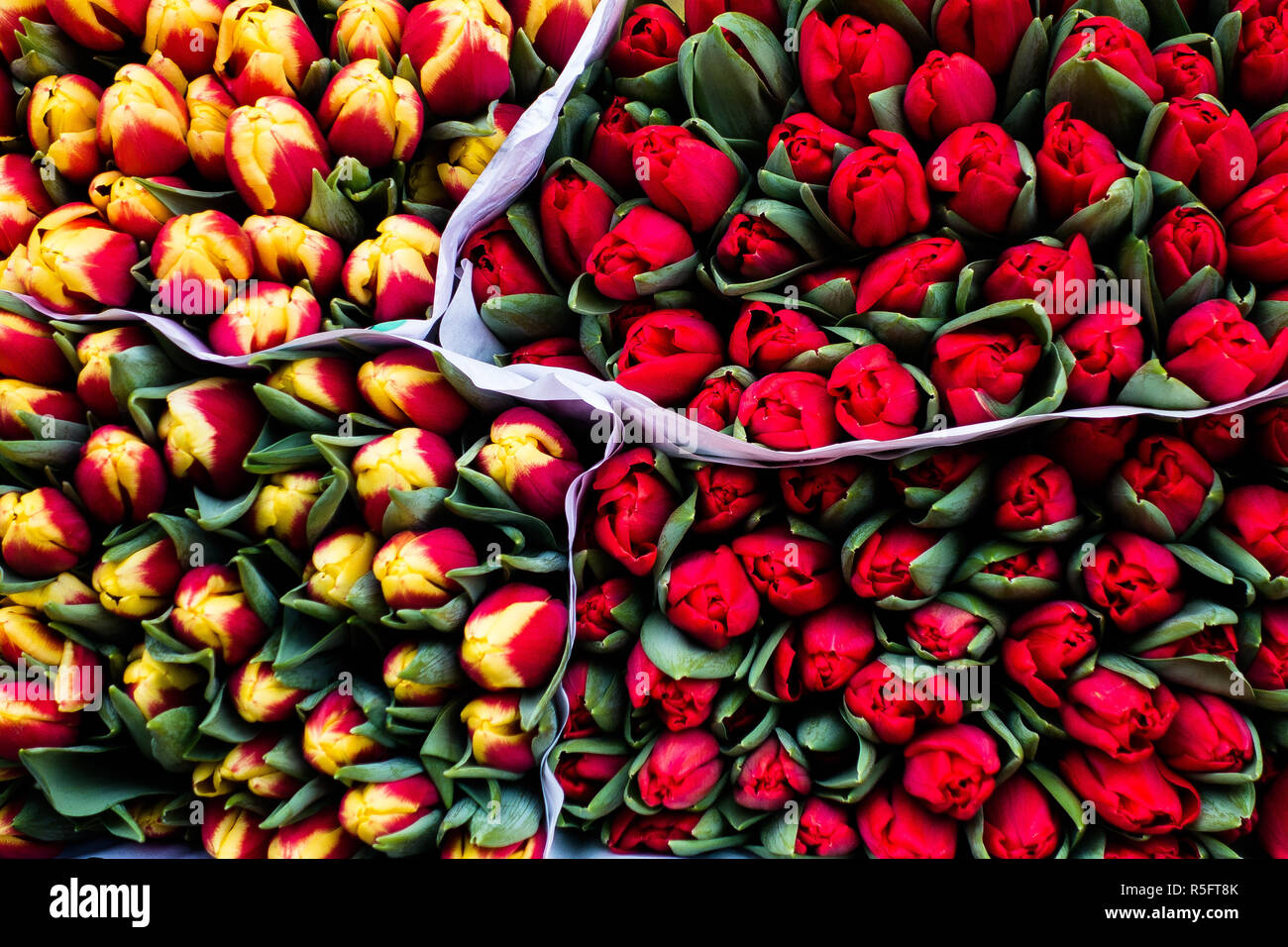 Bouquets de tulipes sur l'affichage pour la vente dans la rue du marché Banque D'Images