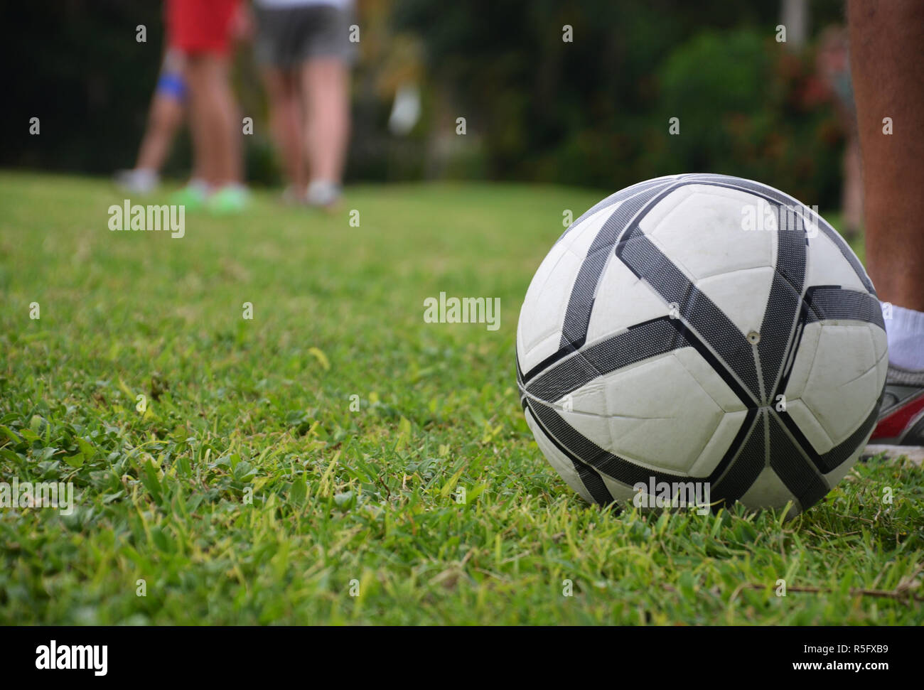 Terrain de football, ballon sur l'herbe, les pieds des hommes. Arrière-plan flou Banque D'Images