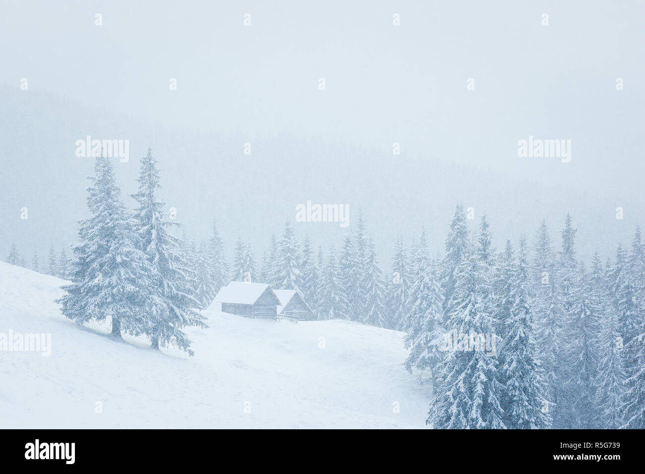 Paysage d'hiver de rêve avec une maison de montagne dans la neige. Brouillard dans la forêt d'épinettes. Arbres couverts de givre Banque D'Images