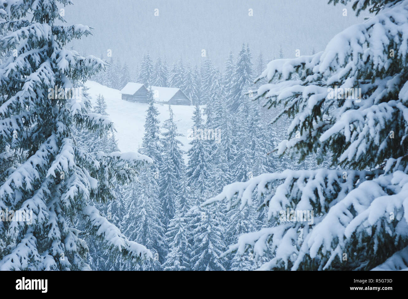 Scène d'hiver avec une maison de montagne dans la neige. Forêt couverte de givre. Jour nuageux Banque D'Images