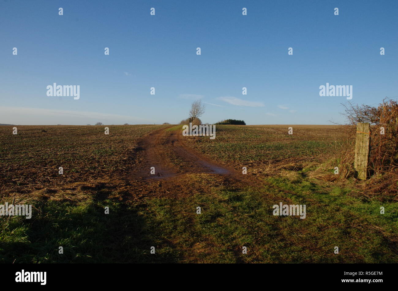 Le Macmillan Way. Sentier de longue distance. Le Warwickshire. L'Angleterre. UK Banque D'Images