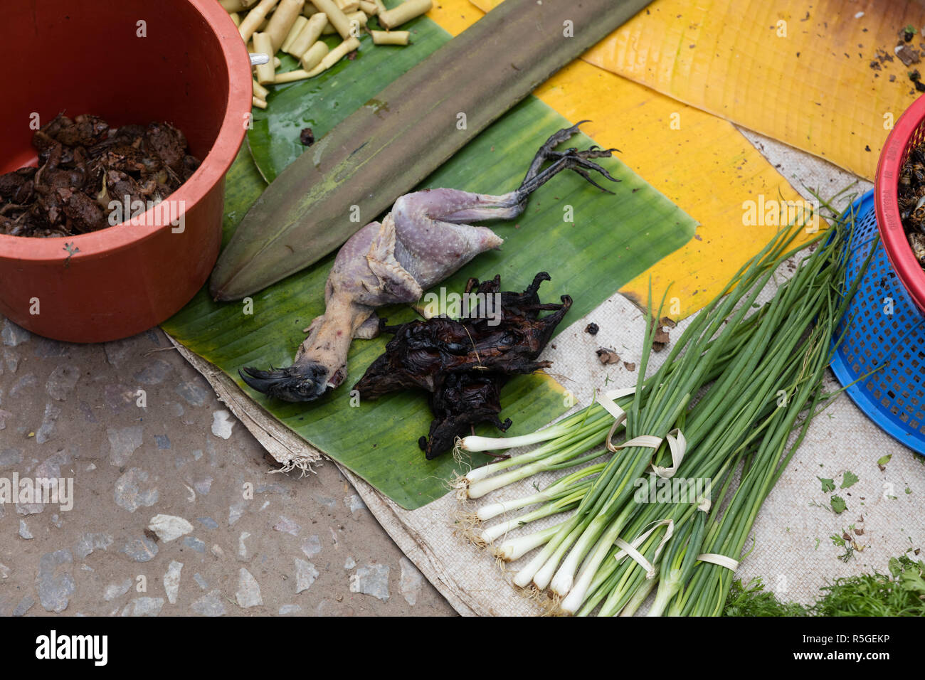 Les rats grillés sur le marché, Luang Prabang, Laos Banque D'Images