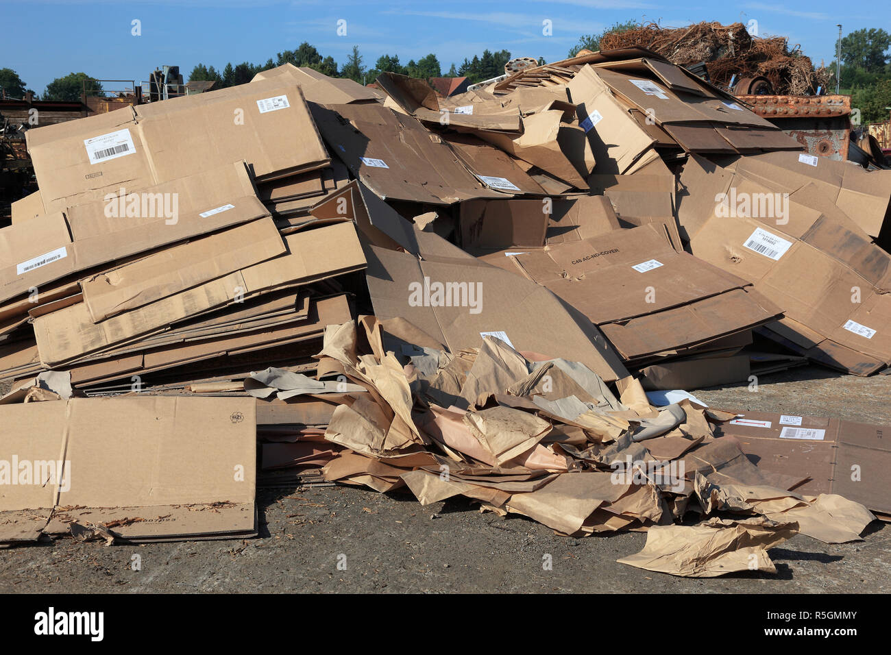 L'usine de recyclage, les déchets de papier, boîtes de carton, Allemagne Banque D'Images
