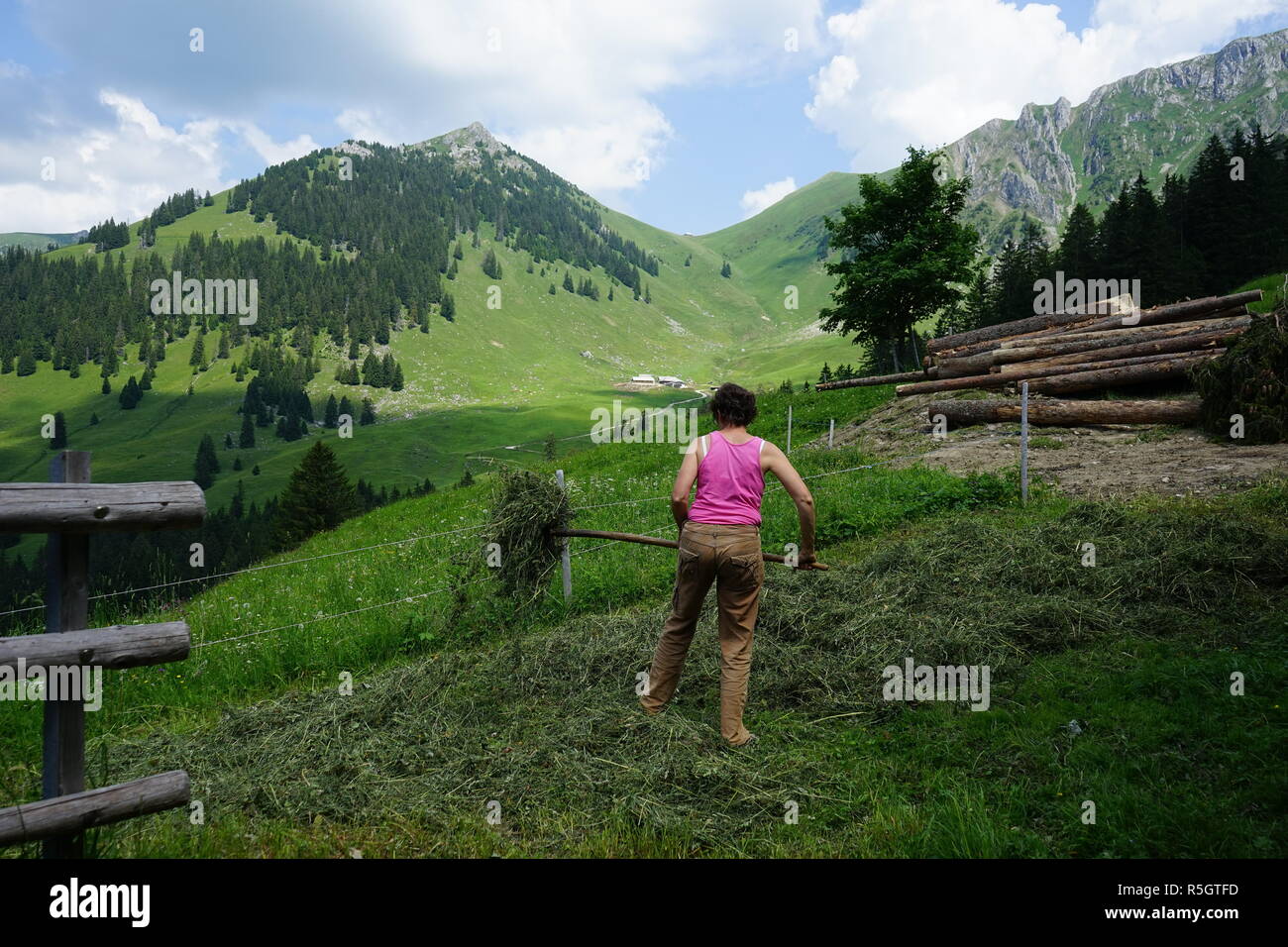 Femme avec hay tourner dans les montagnes suisses Banque D'Images