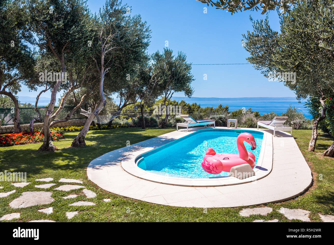 Flamant rose d'eau dans une piscine avec la mer Méditerranée en arrière-plan Banque D'Images