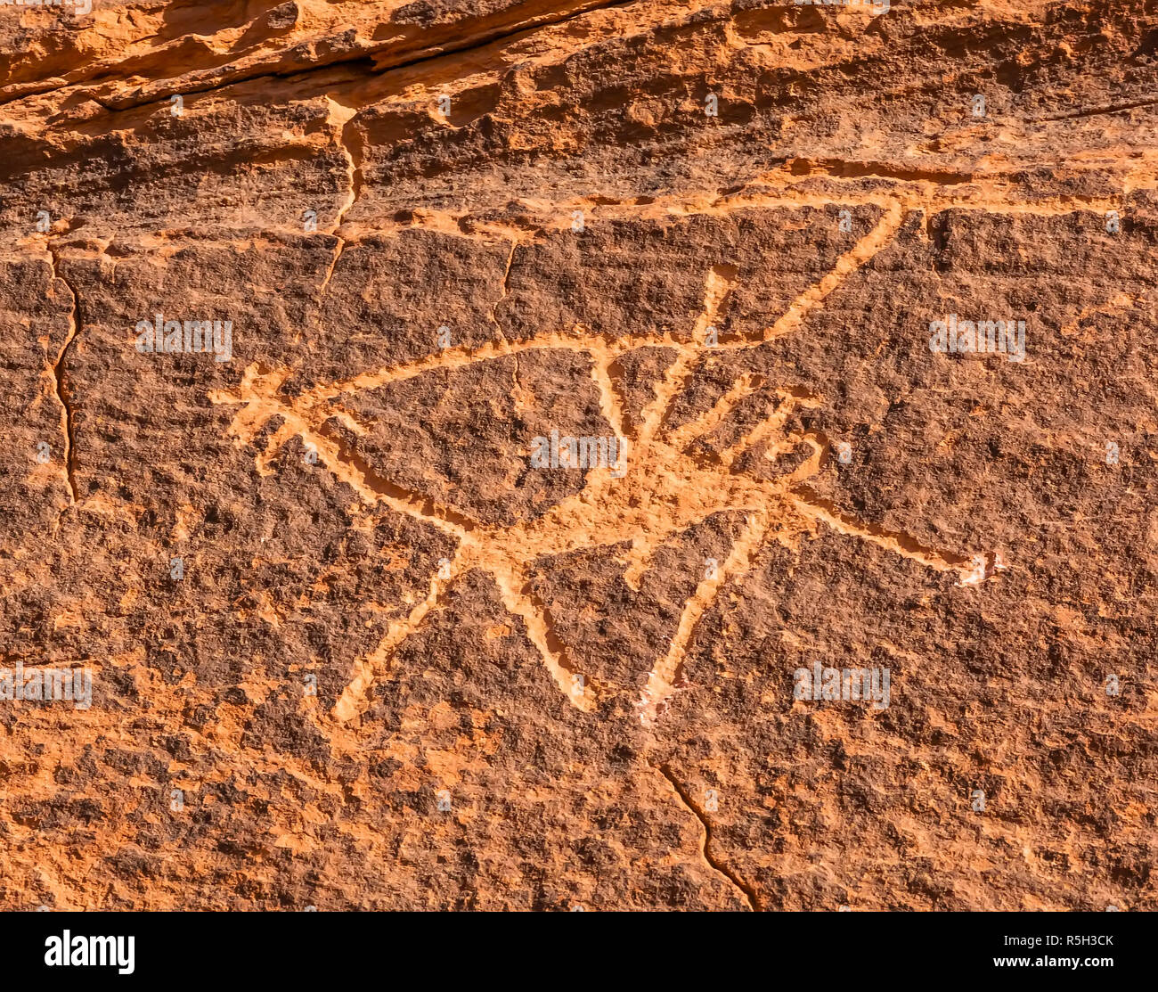 Vallée de Petroglyph chameau Lune Wadi Rum Jordanie Banque D'Images