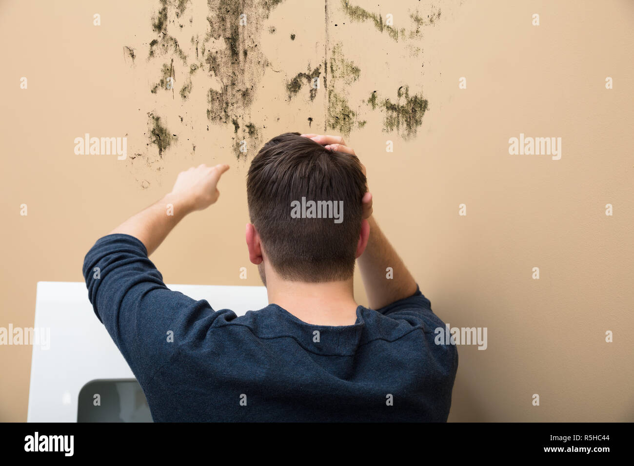 Homme pointant à la moisissure sur le mur Banque D'Images
