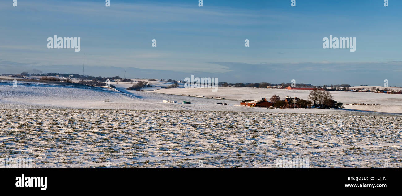 Paysage d'hiver de la campagne. Vue panoramique. Peut être utilisé comme arrière-plan Banque D'Images
