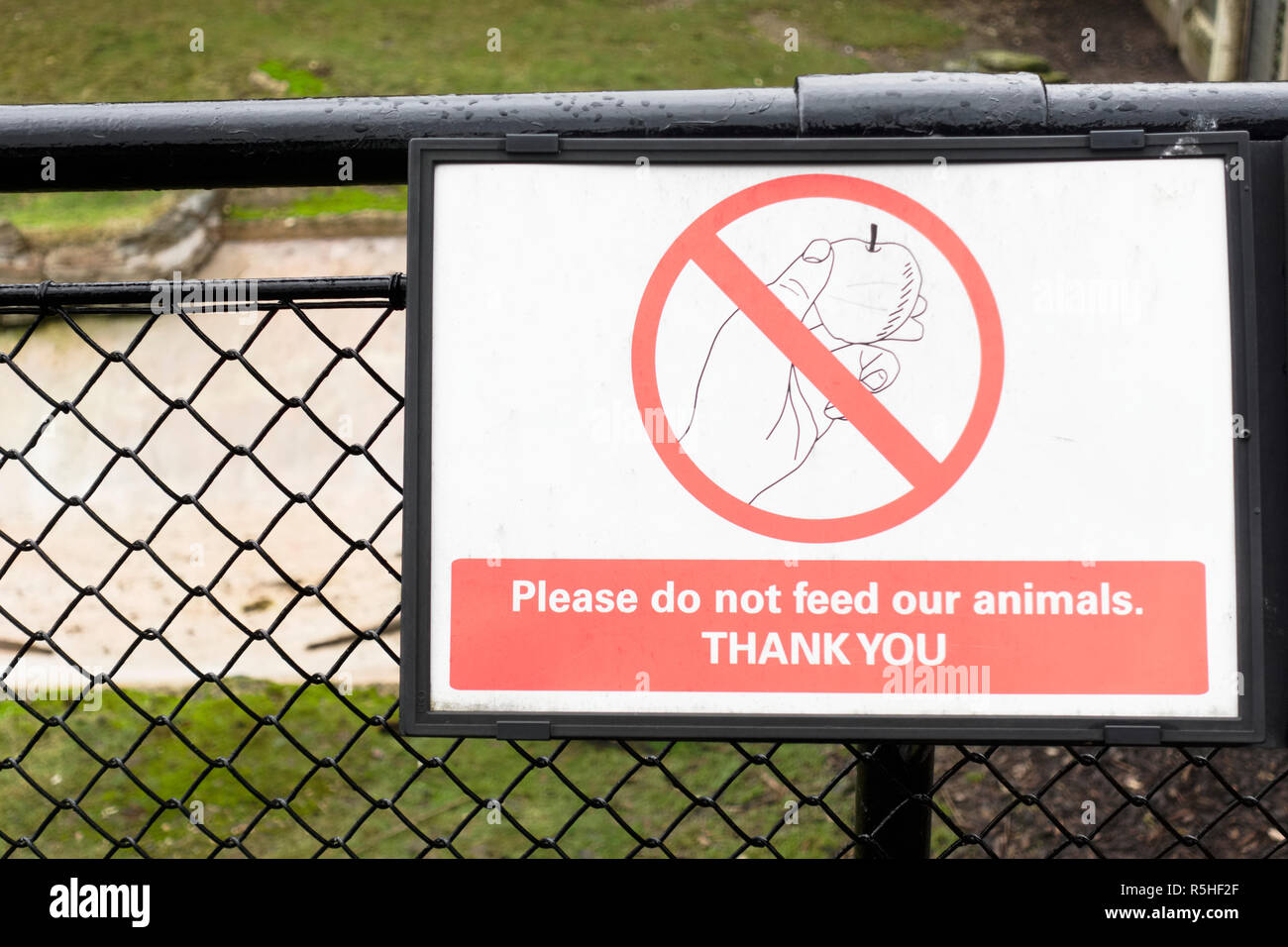 Ne pas nourrir les animaux du zoo de Londres à âne sign Banque D'Images