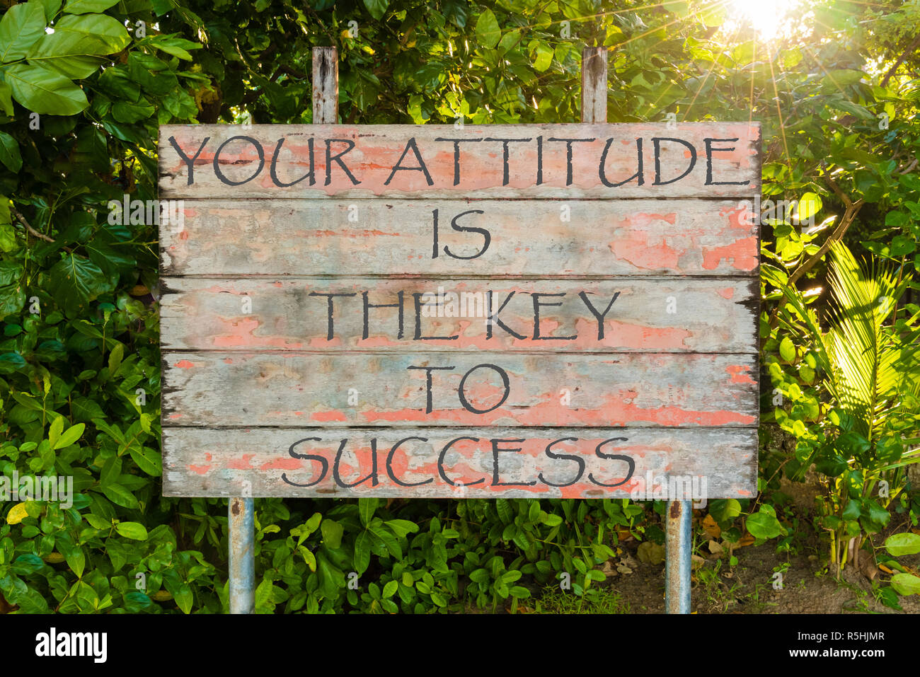 Votre attitude est la clé du succès de devis de motivation écrite sur old vintage board panneau dans la forêt, avec les rayons du soleil en arrière-plan. Banque D'Images