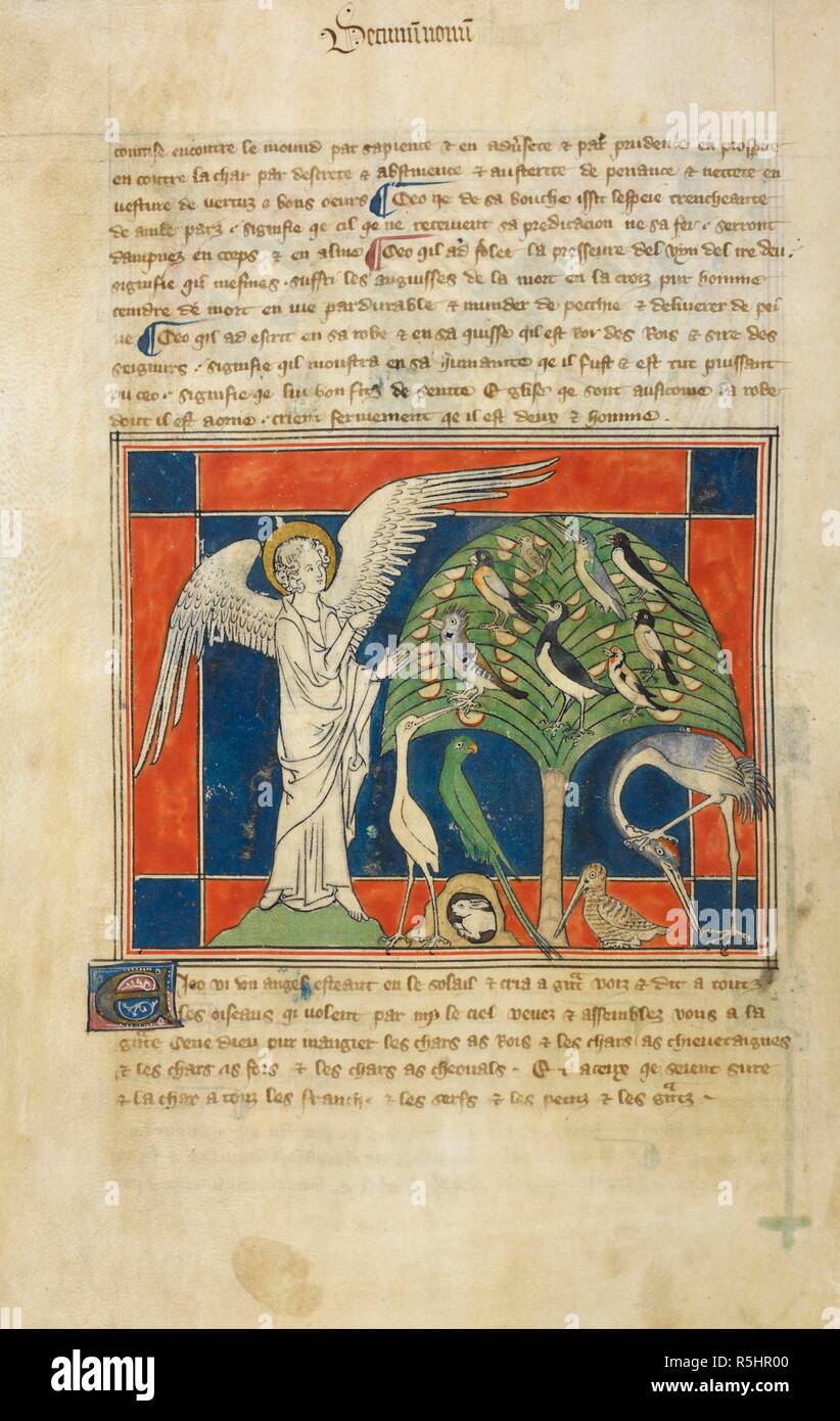 Sur la gauche, l'ange, sur la droite, oiseaux dans un arbre et sur le terrain, et d'un lapin dans un trou. Apocalypse ('le Queen Mary Apocalypse'). Premier trimestre du 14ème siècle. Source : Royal 19 B. XV, f.37v. Langue : Anglo Norman. Banque D'Images