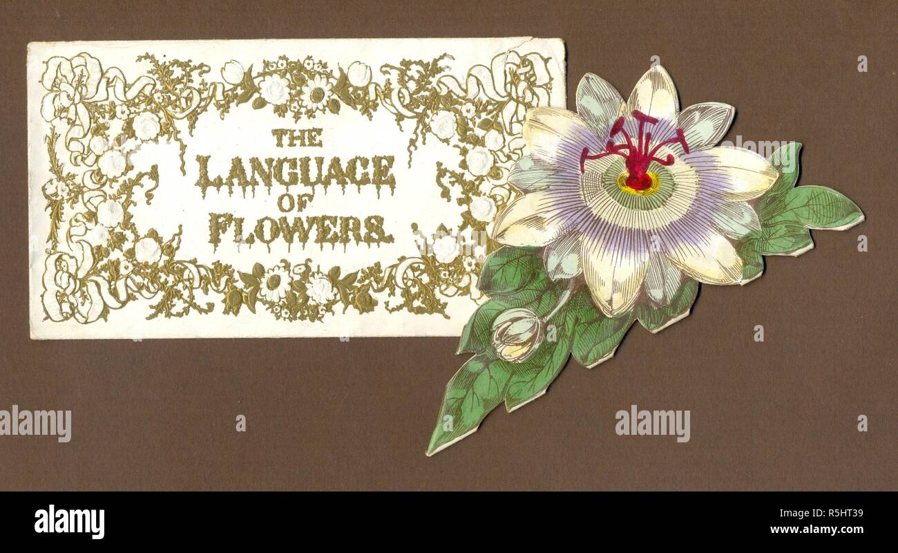 Le langage des fleurs Saint Valentin avec enveloppe originale circa 1845 Banque D'Images