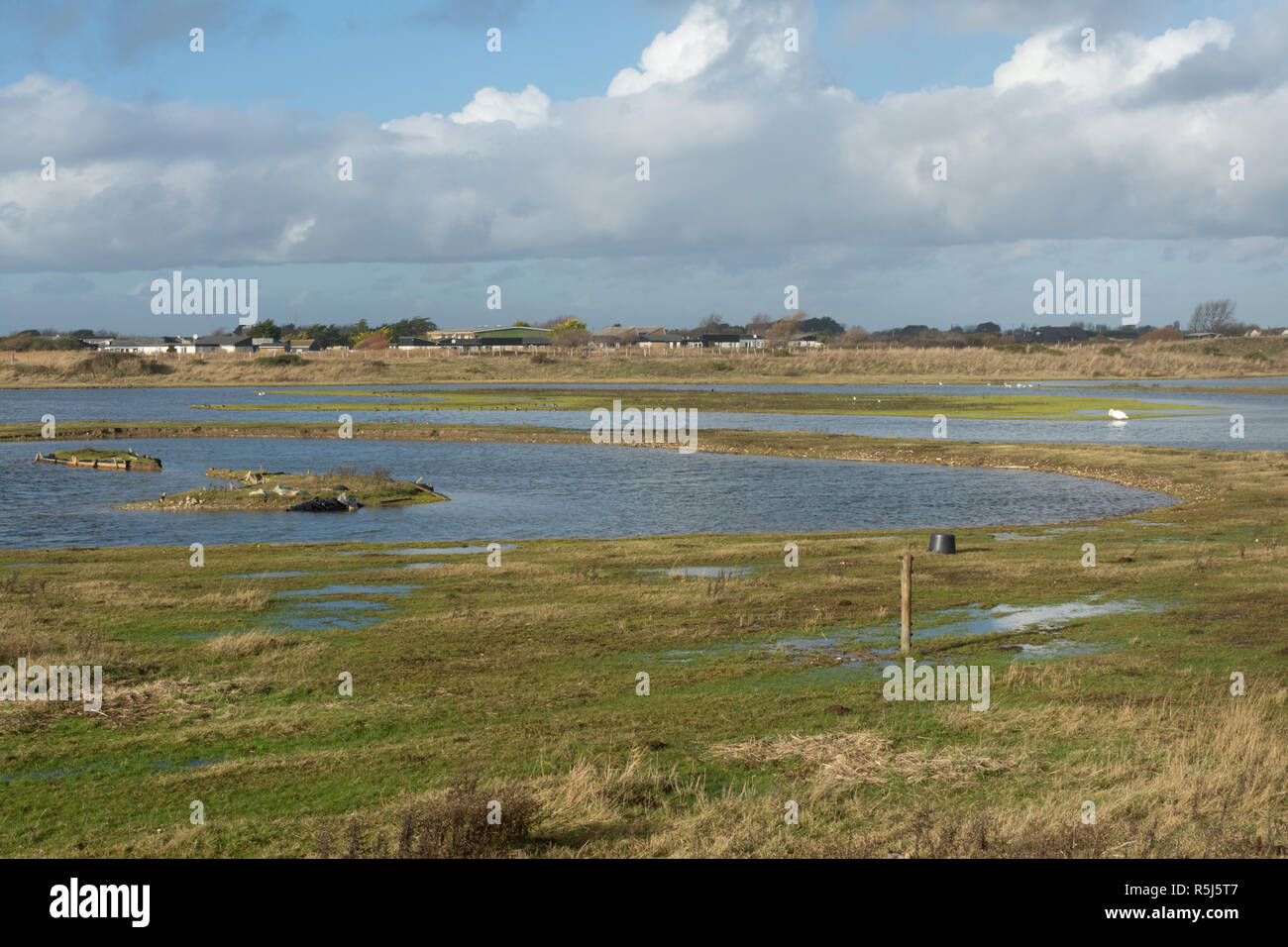 Medmerry RSPB Réserve Naturelle par la côte à Medmerry, West Sussex, UK. La recherche à travers l'échassier piscines, oiseaux, oiseaux aquatiques. Banque D'Images