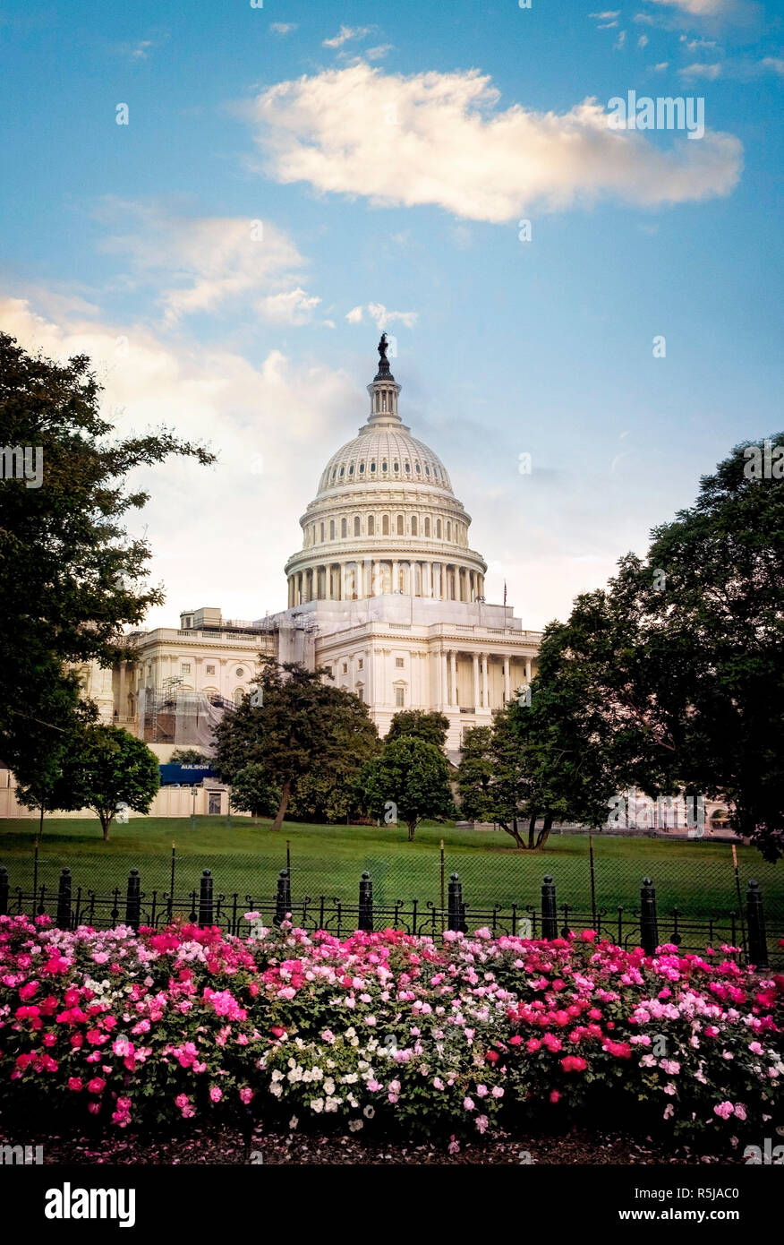 Le bâtiment du Capitole, qui abrite le Sénat et la Chambre des représentants des États-Unis sur le National Mall, Washington DC. Banque D'Images
