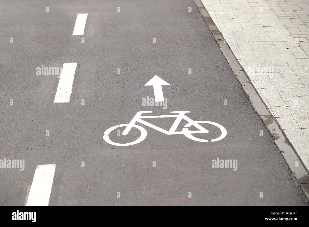 Route asphaltée pour vélos dans un parc de la ville de jour d'été libre de Banque D'Images