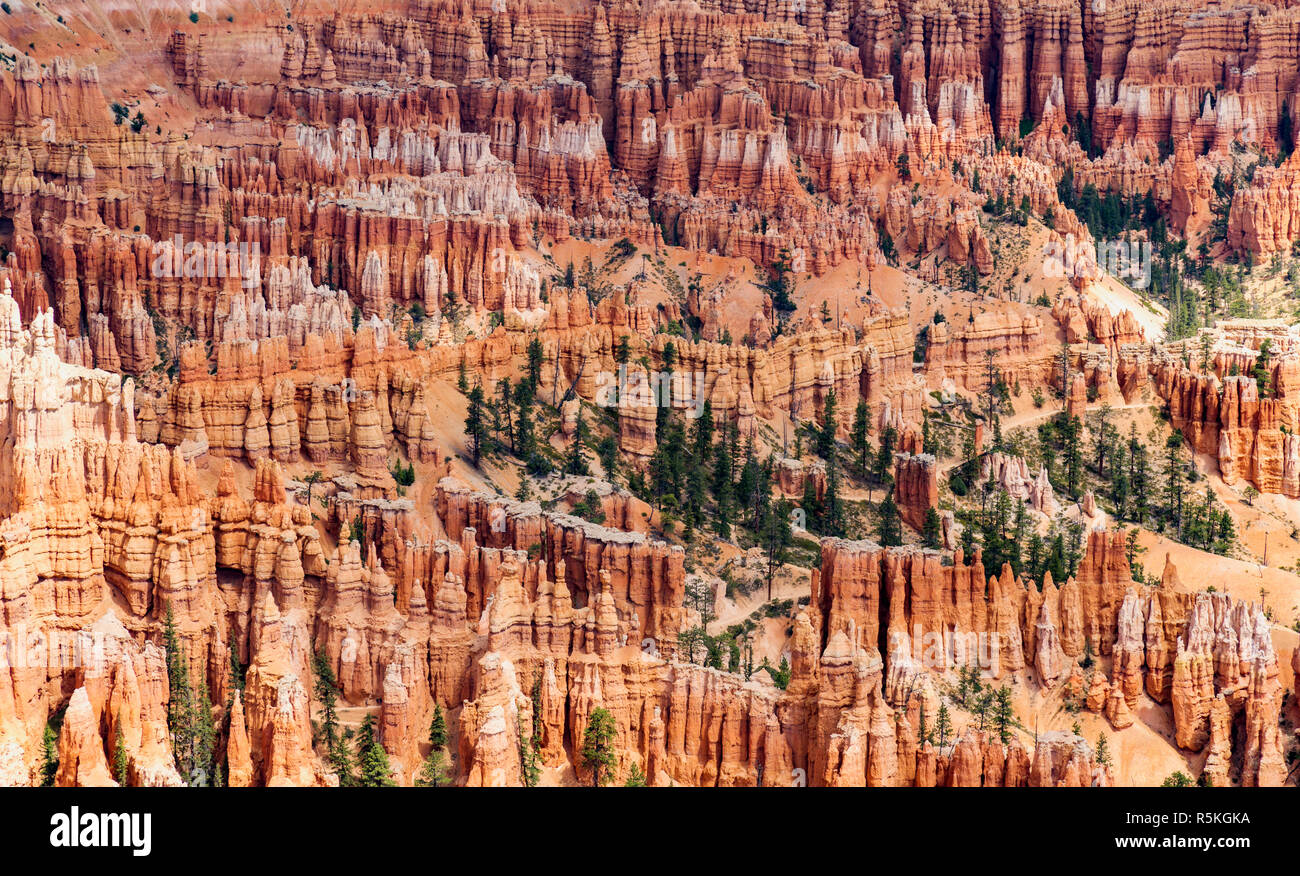 Le Parc National de Bryce Canyon, est connu pour les cheminées de couleur pourpre, qui sont des formations rocheuses en forme de spire. Il n'a donne sur le coucher du soleil au lever du soleil, Point P Banque D'Images
