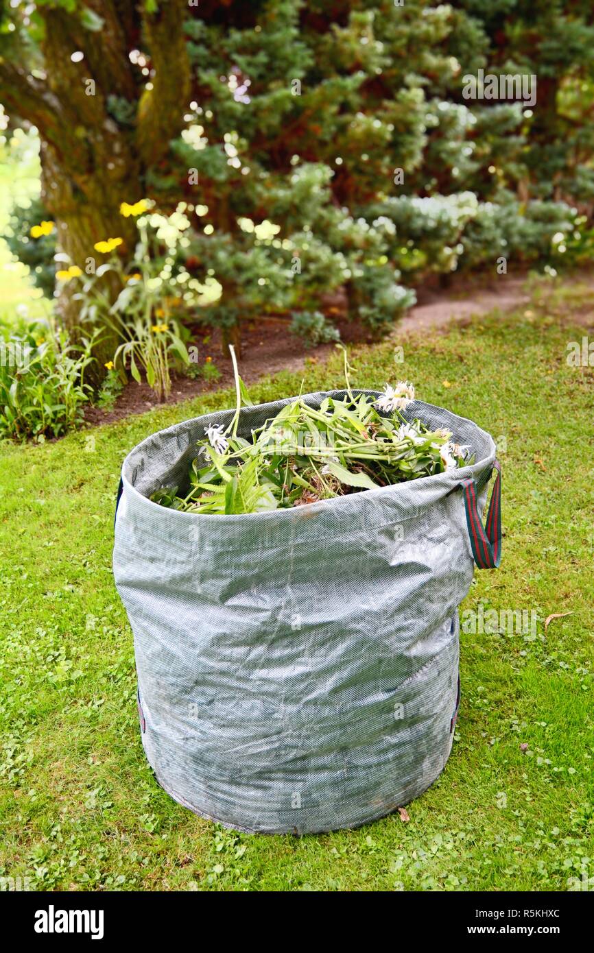 Sac de mauvaises herbes du jardin Banque D'Images