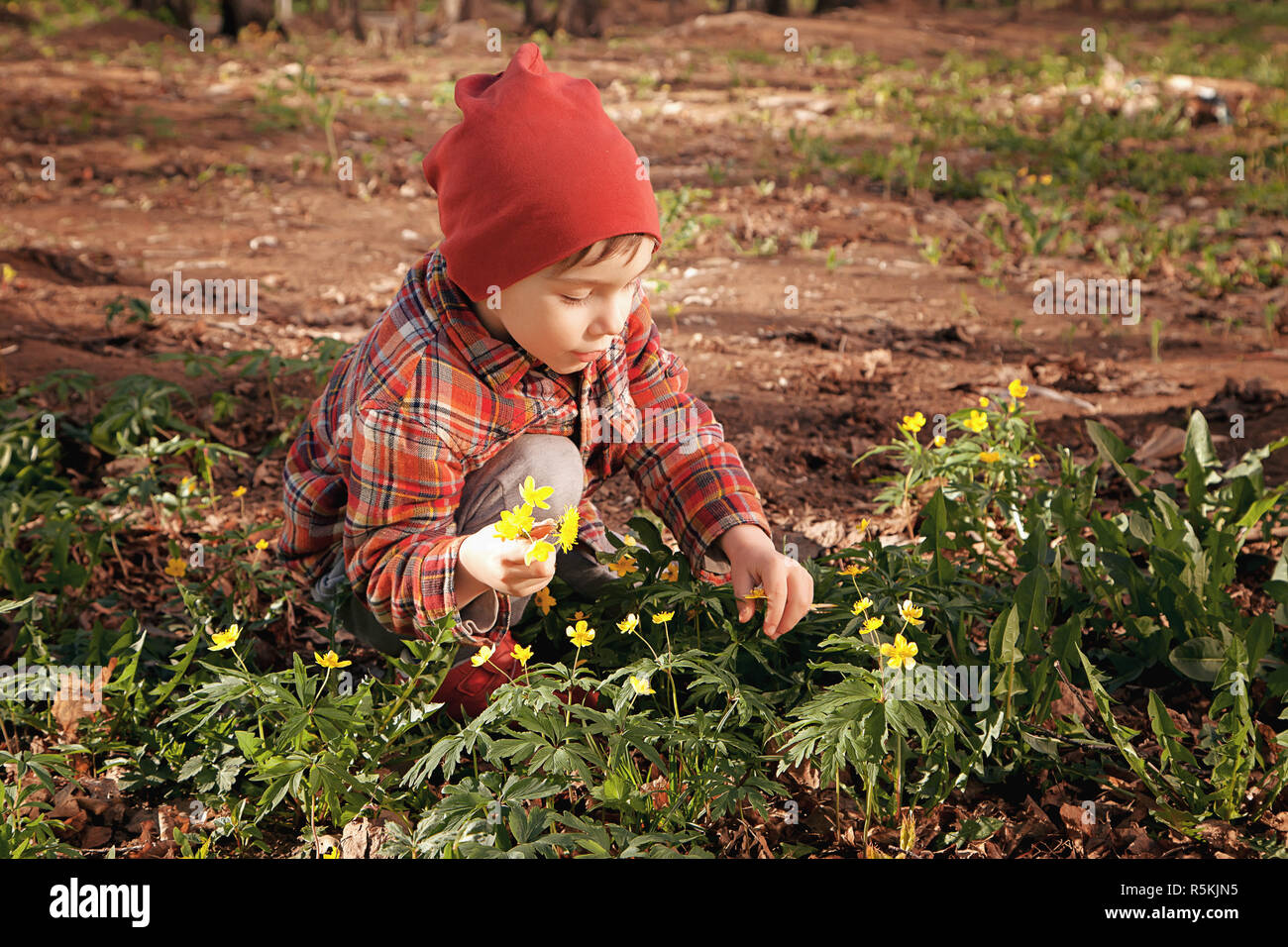 Heureux mignon petit bébé sur une pelouse verte avec des fleurs jaunes en fleurs le long d'une journée de printemps ou d'été. Un enfant jouant parmi les pins. Un petit garçon rêve et repose la collecte d'un bouquet Banque D'Images