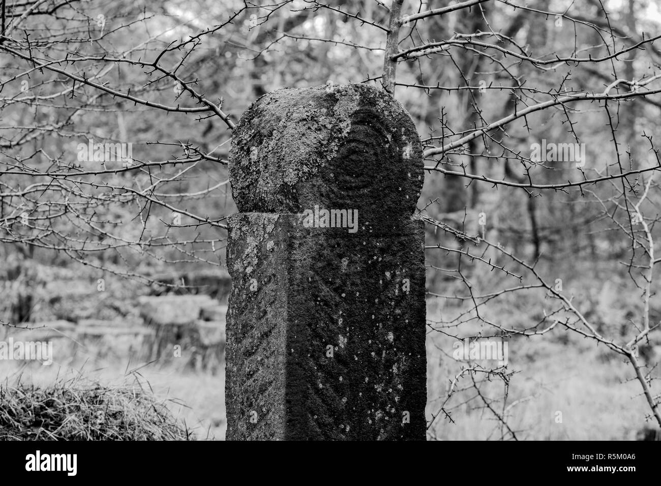 Ruines gothique sombre et décor d'Hollinshead Hall, près de Kaesfurt Darwen, Lancashire en noir et blanc avec gateposts. Banque D'Images